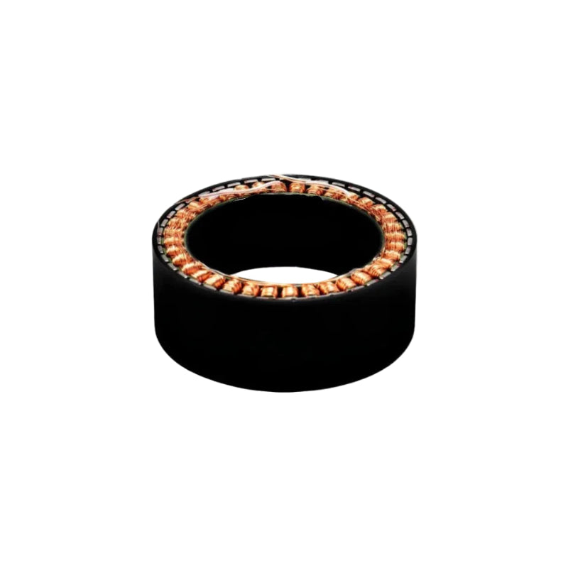 SteadyWin WK10025 Motor