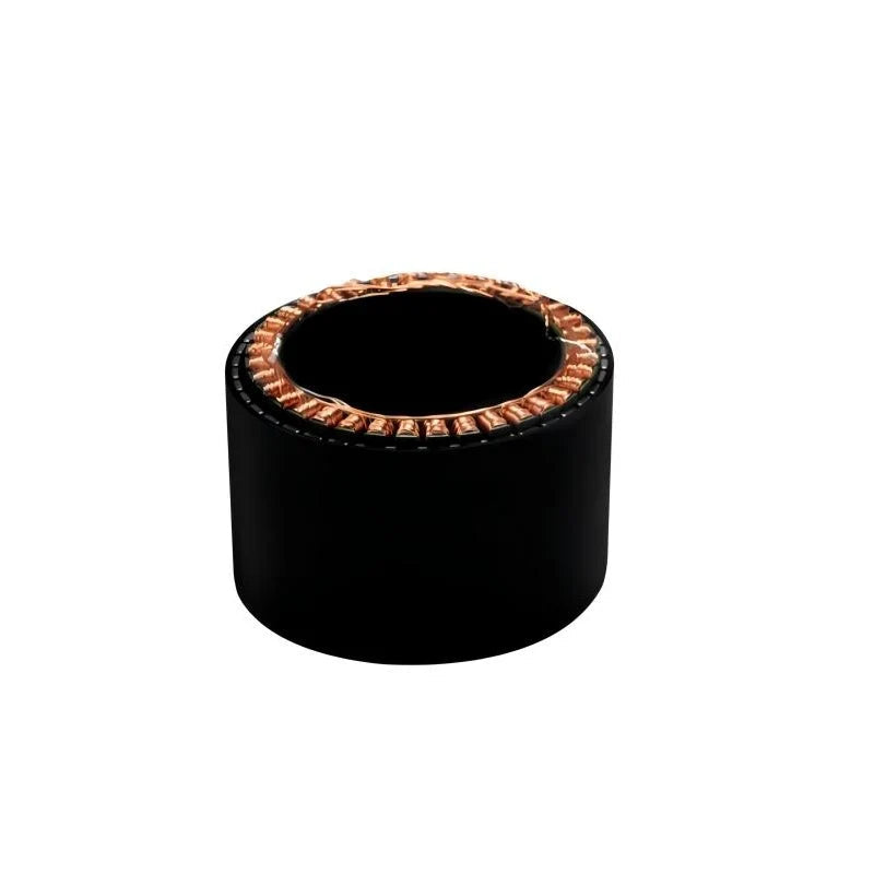 SteadyWin WK10060 Motor
