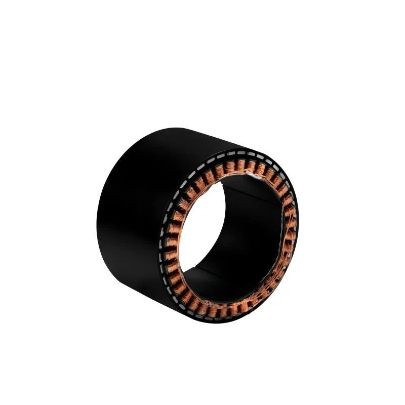 SteadyWin WK10060 Motor